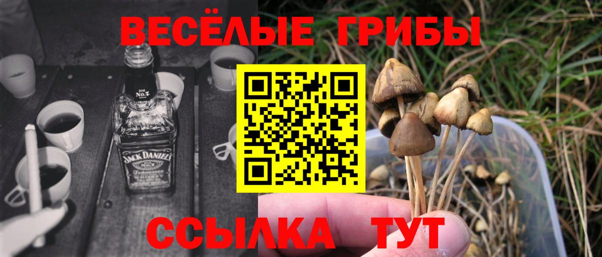 Гудермес  Галлюциногенные грибы GOLDEN TEACHER  Псилоцибиновые грибы ЛСД  Вход с VPN 